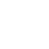 Revenue Partnership